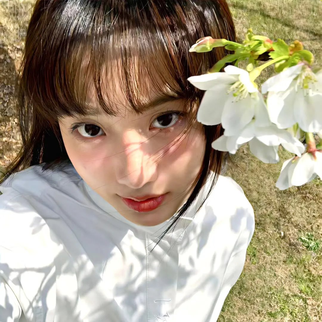 鲨胆小英雄
