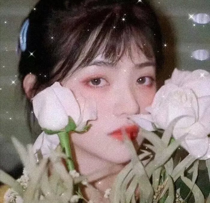 溏心风暴粤语